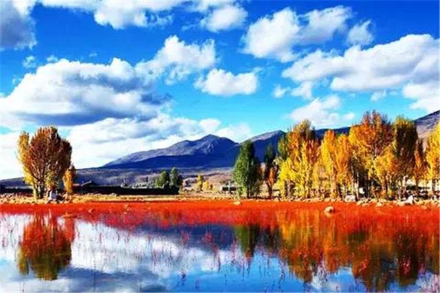 雙凱智能：說(shuō)走就走旅行？有TA更輕松